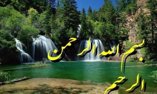 مددکاری-اجتماعی-گروهی