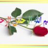 مراقبت-ادغام-يافته-مادران
