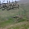 استفاده-از-ریزکپسول-سازی-در-مبارزه-با-کمبود-آهن