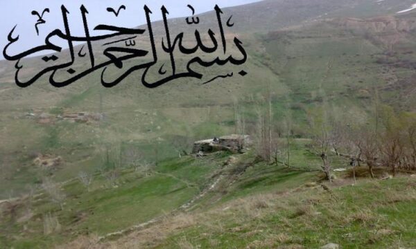 استفاده-از-ریزکپسول-سازی-در-مبارزه-با-کمبود-آهن