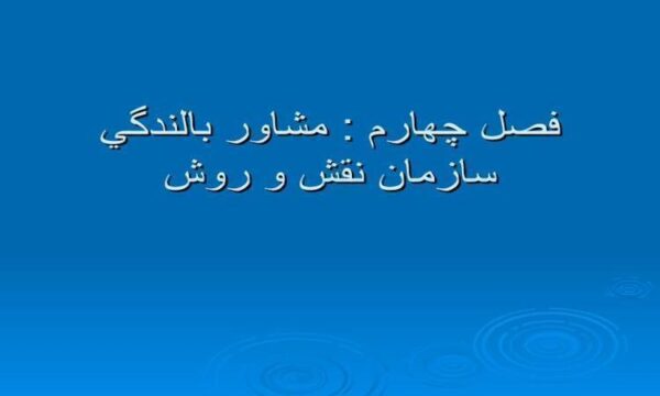 مشاور-بالندگي-سازمان-نقش-و-روش
