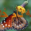 مراحل-برخورد-با-بیماران-مسلول-و-اطرافیان-آنها