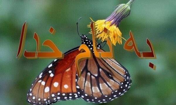 مراحل-برخورد-با-بیماران-مسلول-و-اطرافیان-آنها