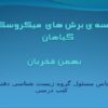 مقایسه-برش-های-گیاهیpp