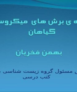 مقایسه-برش-های-گیاهیpp