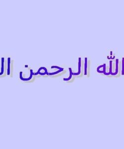 شاه-بلوط-هندي