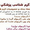 طبقه-بندی-و-خصوصیات-کرم-ها