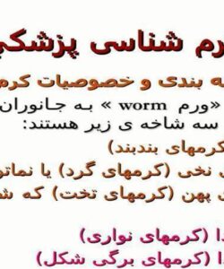 طبقه-بندی-و-خصوصیات-کرم-ها