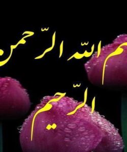 امر-به-معروف-و-نهي-از-منکر2-مراتب