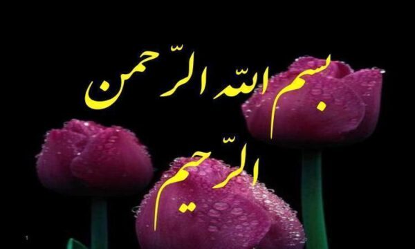 امر-به-معروف-و-نهي-از-منکر2-مراتب