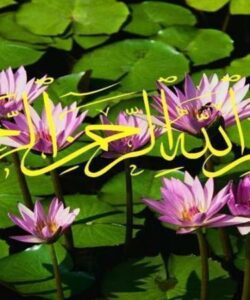 کلینیک-تخصصی-و-فوق-تخصی