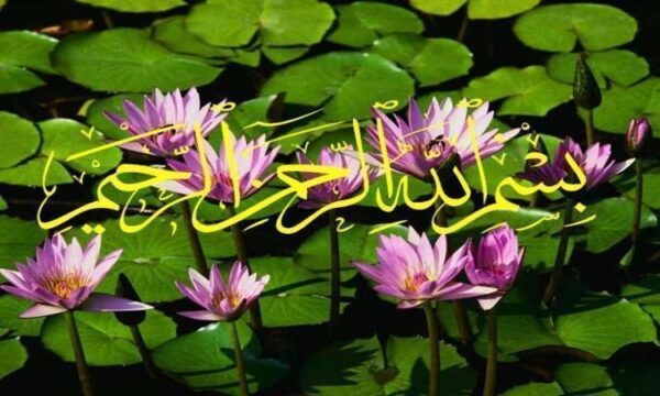 کلینیک-تخصصی-و-فوق-تخصی