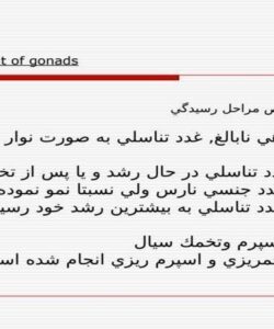 چگونگي-تشخيص-مراحل-رسيدگي
