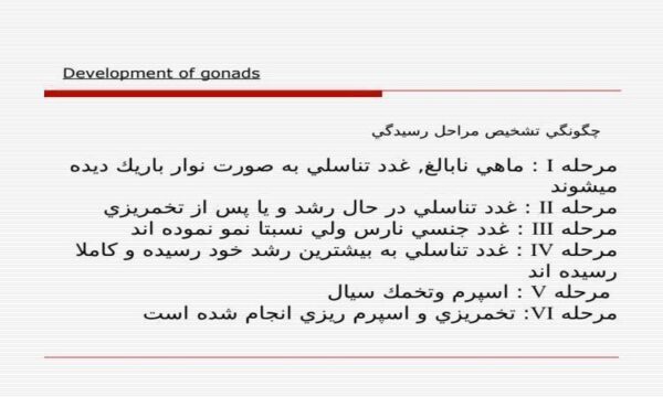 چگونگي-تشخيص-مراحل-رسيدگي