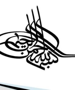 طرح-توجیهی-تولید-خیار-شور