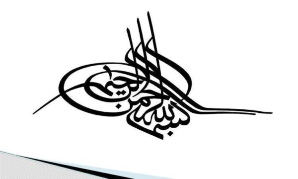 طرح-توجیهی-تولید-خیار-شور