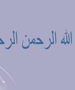طرح-توجیهی-کارخانه-ماکارونی