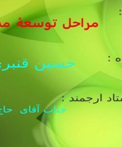 مراحل-توسعه-مدیریت