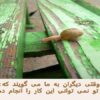 داستان-حلزون