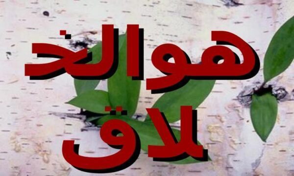 تشکلهای-خلاقیت