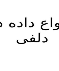 انواع-داده-در-دلفی