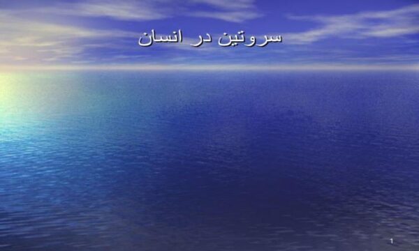 سروتین-در-انسان