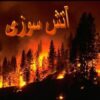 آتش-سوزی