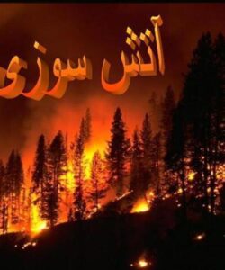 آتش-سوزی