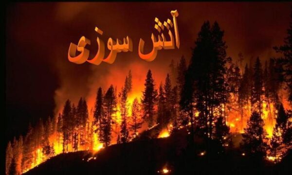 آتش-سوزی