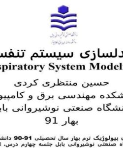 مدلسازی-سيستم-تنفسي