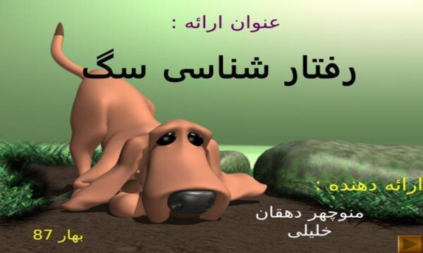 رفتارشناسی-سگ-ها