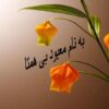کله-سیستیت