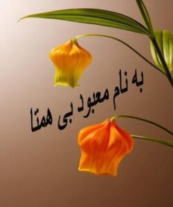 کله-سیستیت