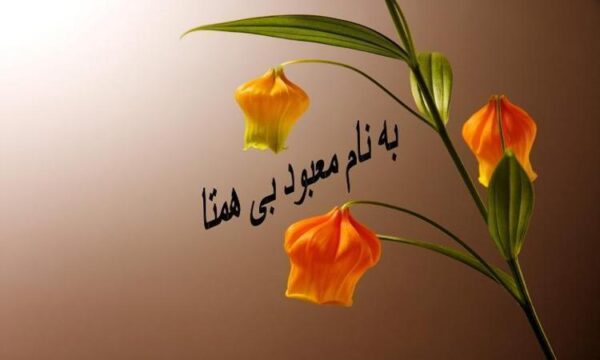 کله-سیستیت