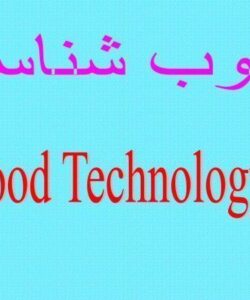 چوب-شناسی
