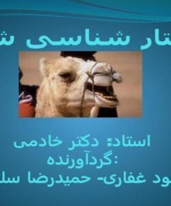 رفتار-شناسی-شتر