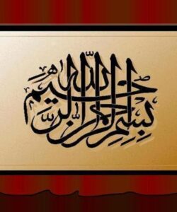 كودهاي-عالي-گياهان-سبز