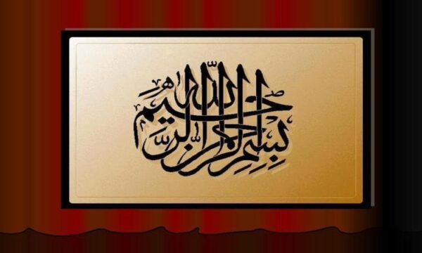كودهاي-عالي-گياهان-سبز