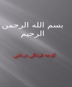 گوجه-فرنگي-درختي