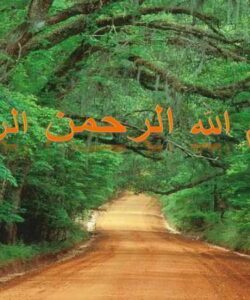 شیوه-قرآن-در-داستان-پردازی-با-تاکید-بر-داستان-های-حضرت-موسی-ع