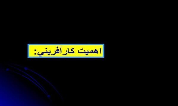 اهميت-كارآفريني
