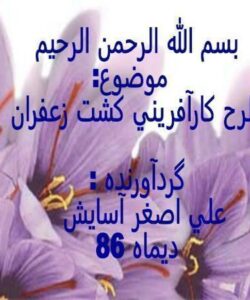 طرح-كارآفريني-كشت-زعفران