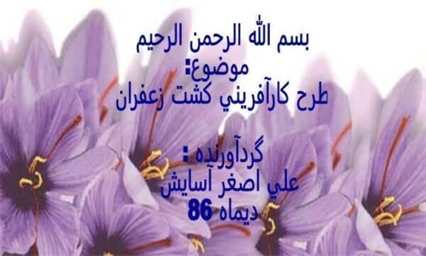 طرح-كارآفريني-كشت-زعفران