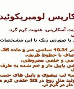 آسکاریس-لومبریکوئیدس