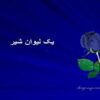 یک-لیوان-شیر