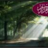 ارائه-مدلي-كاربردي-براي-ارزيابي-وضعيت-حقوق-بيمار-در-بيمارستان-ها