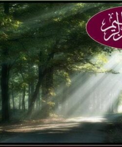 ارائه-مدلي-كاربردي-براي-ارزيابي-وضعيت-حقوق-بيمار-در-بيمارستان-ها