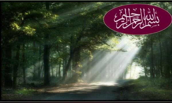 ارائه-مدلي-كاربردي-براي-ارزيابي-وضعيت-حقوق-بيمار-در-بيمارستان-ها