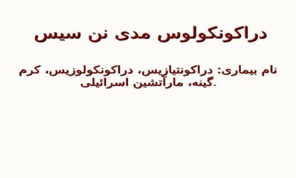 دراکونکولوس-مدی-نن-سیس