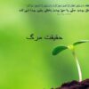 حقیقت-مرگ